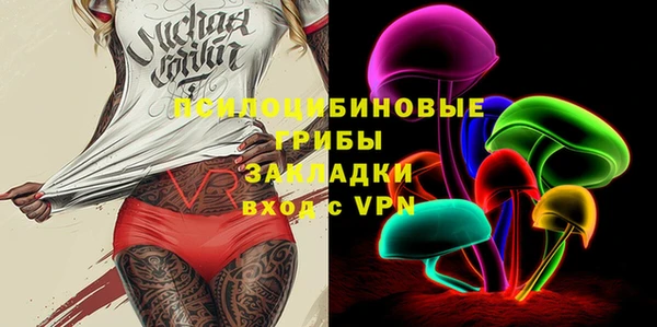 дживик Аркадак