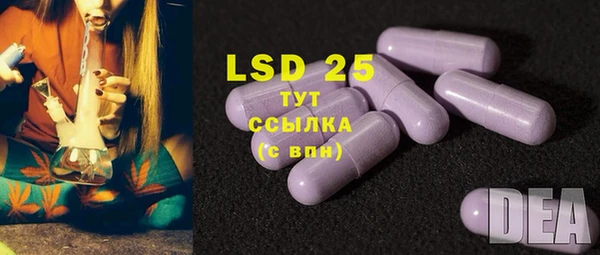 дживик Аркадак